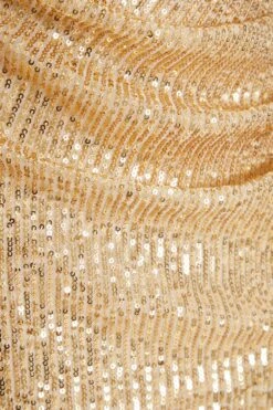 Petite Gold Sequin Ruched Maxi Dress -Deals Clothifyr Store 00100036119 ZS