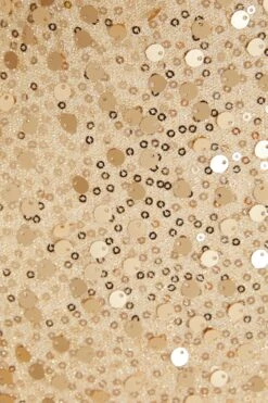 Petite Gold Sequin Bardot Midi Dress 13 Petite Gold Sequin Bardot Midi Dress -Deals Clothifyr Store 00100036303 ZS