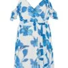 Curve Blue Chiffon Floral Cold Shoulder Midi Dress -Deals Clothifyr Store 00100037303 ZM