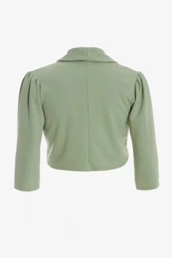 Curve Sage Shawl Collar Crop Jacket -Deals Clothifyr Store 00100037965 ZB