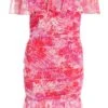Petite Pink Floral Ruched Bardot Mini Dress 1 Petite Pink Floral Ruched Bardot Mini Dress -Deals Clothifyr Store 00100038660 ZM