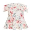 Curve Pink Floral Peplum Top