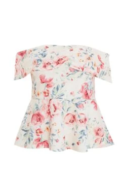 Curve Pink Floral Peplum Top